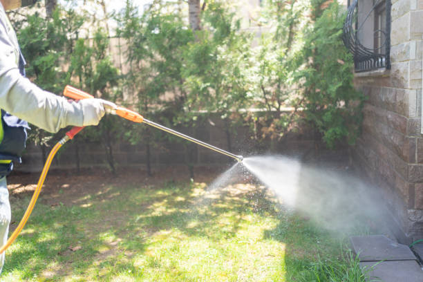 Professional Pest Control in Independence, MO